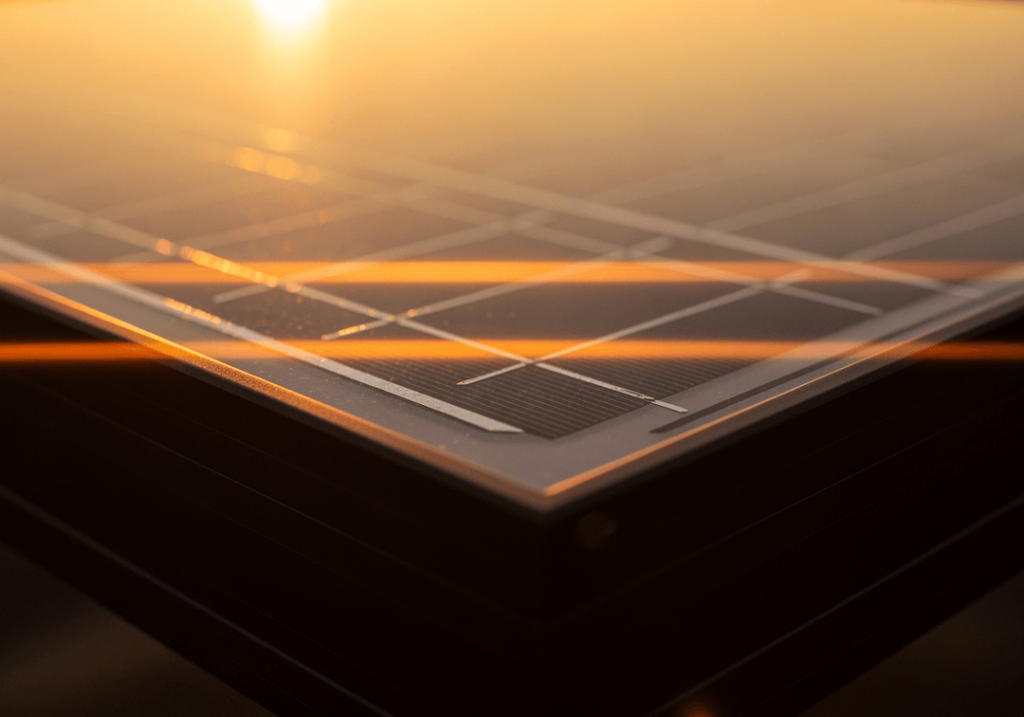 689c940a12d2da4ac533b66f freepik candid photography with natural textures and highl 25065 p 1080